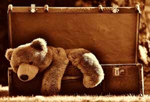 Bear in Suitcase